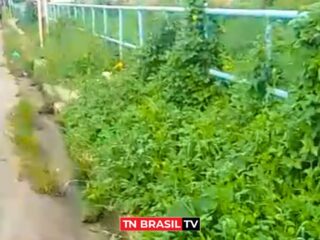 Mato alto e lixo acumulado nas calçadas causam transtornos na R. do Canal do Arari, em Ananindeua.