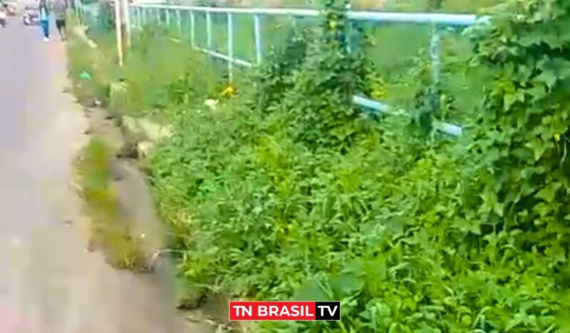 Mato alto e lixo acumulado nas calçadas causam transtornos na R. do Canal do Arari, em Ananindeua.