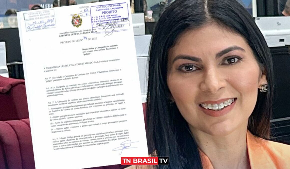 PL da Deputada Diana Belo cria Campanha de Combate aos Crimes Cibernéticos Financeiros e "golpes" no Pará