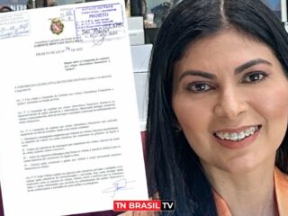 PL da Deputada Diana Belo cria Campanha de Combate aos Crimes Cibernéticos Financeiros e "golpes" no Pará