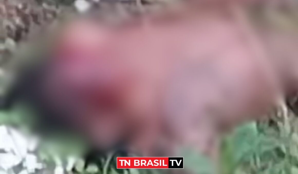 Imagens Fortes: Assaltante se joga da ponte para escapar de linchamento e fica gravemente ferido