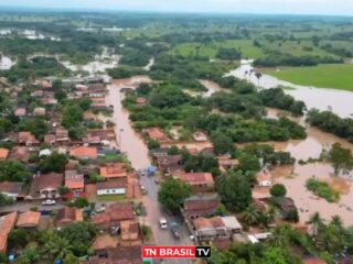 Veja a lista: Cidades do sul e sudeste do Pará têm potencial para desastres ambientais