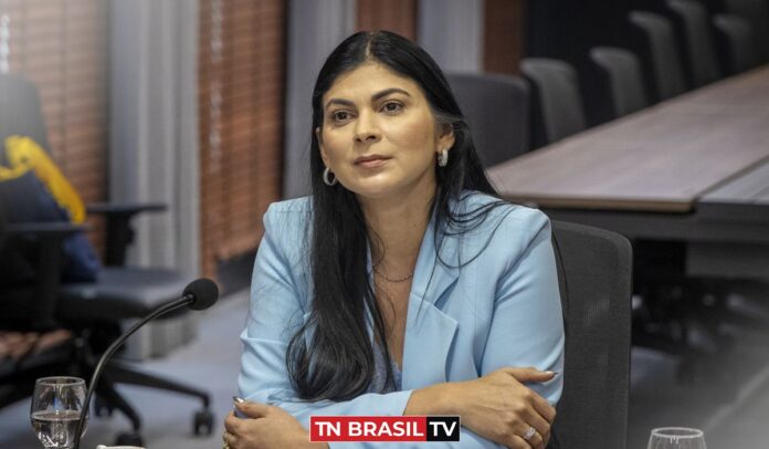 Deputada Diana Belo e a Comissão de Divisão Administrativa do Estado, Assuntos Municipais e Tributação