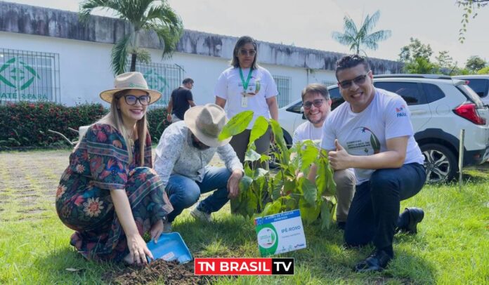 Deputado Fábio Freitas participa da ação "Hora do Plantar" no Dia Mundial do Meio Ambiente