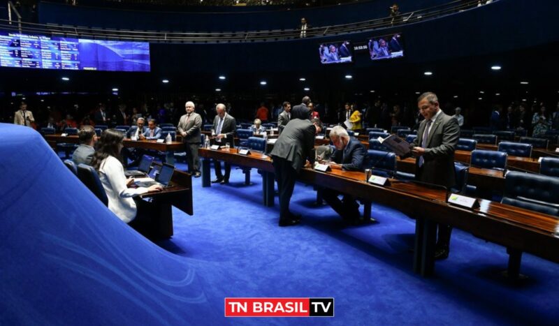 Taxa da blusinha: Senado aprova taxação de compras internacionais de até US$ 50