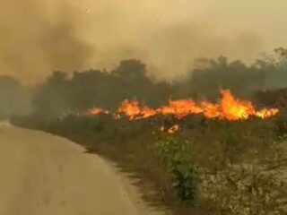 Comunidades ribeirinhas do Rio Moju denunciam incêndios e pedem socorro