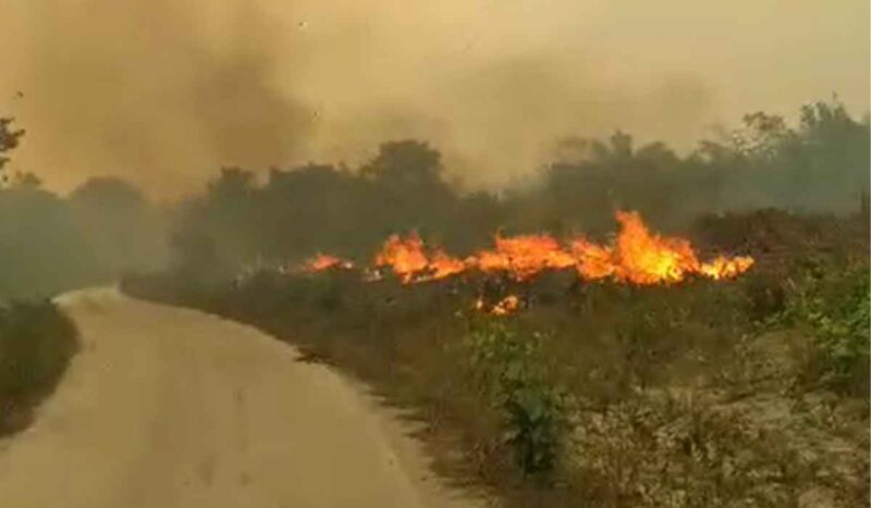 Comunidades ribeirinhas do Rio Moju denunciam incêndios e pedem socorro