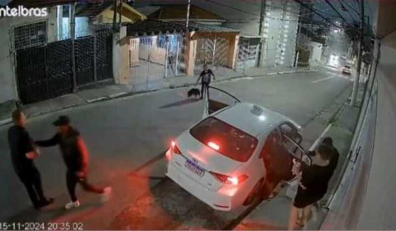 ASSISTA: Mulher solta pitbull, coloca criminosos para correr e salva família de assalto