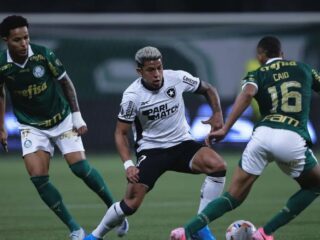 Palmeiras x Botafogo: Confronto decisivo pela liderança do Brasileirão no Allianz Parque