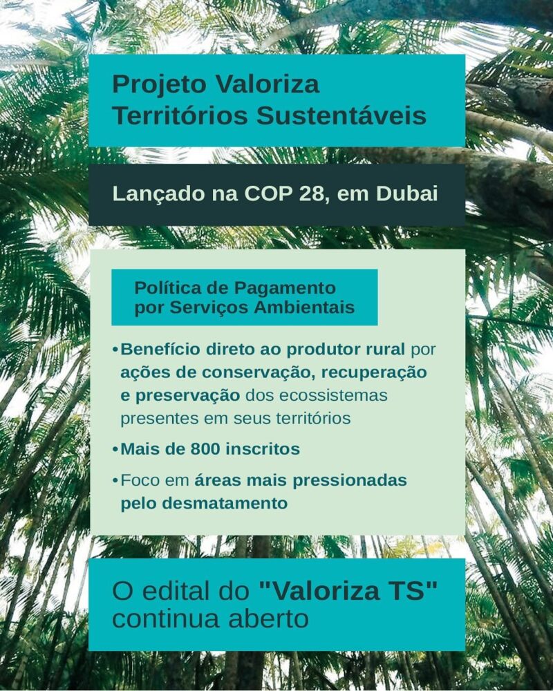 COP 29: Pará destaca iniciativas de proteção ambiental e apoio às comunidades locais