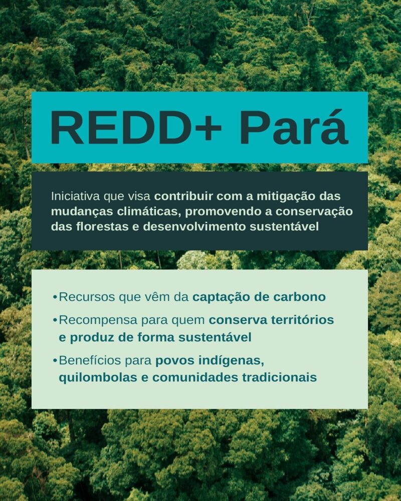 COP 29: Pará destaca iniciativas de proteção ambiental e apoio às comunidades locais