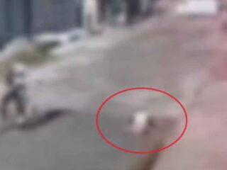 IMAGENS FORTES: estudante é morta a tiros após sair da escola e criminoso foge de bicicleta