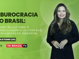 A Burocracia no Brasil: Um Obstáculo para o Desenvolvimento Sustentável e Regularização Ambiental