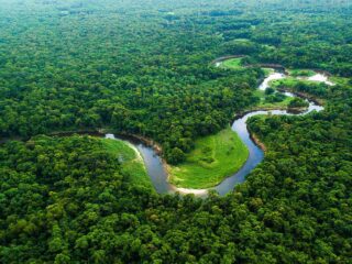 Amazônia: Divisão (tipos de amazônia), Área, biodiversidade, Estados Brasileiros que Fazem parte da Amazônia