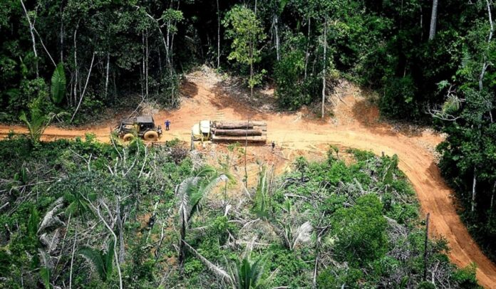 Grilagem de Terras no Brasil: Tipos, Consequências e Medidas de Combate