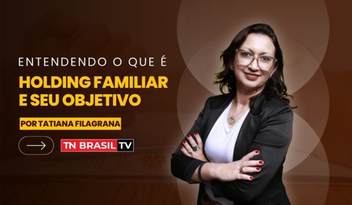 patrimonial, Bens Entendendo o Que É Holding Familiar e Seu Objetivo