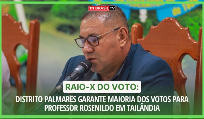 Raio-X do Voto: Distrito Palmares garante maioria dos votos para Professor Rosenildo em Tailândia