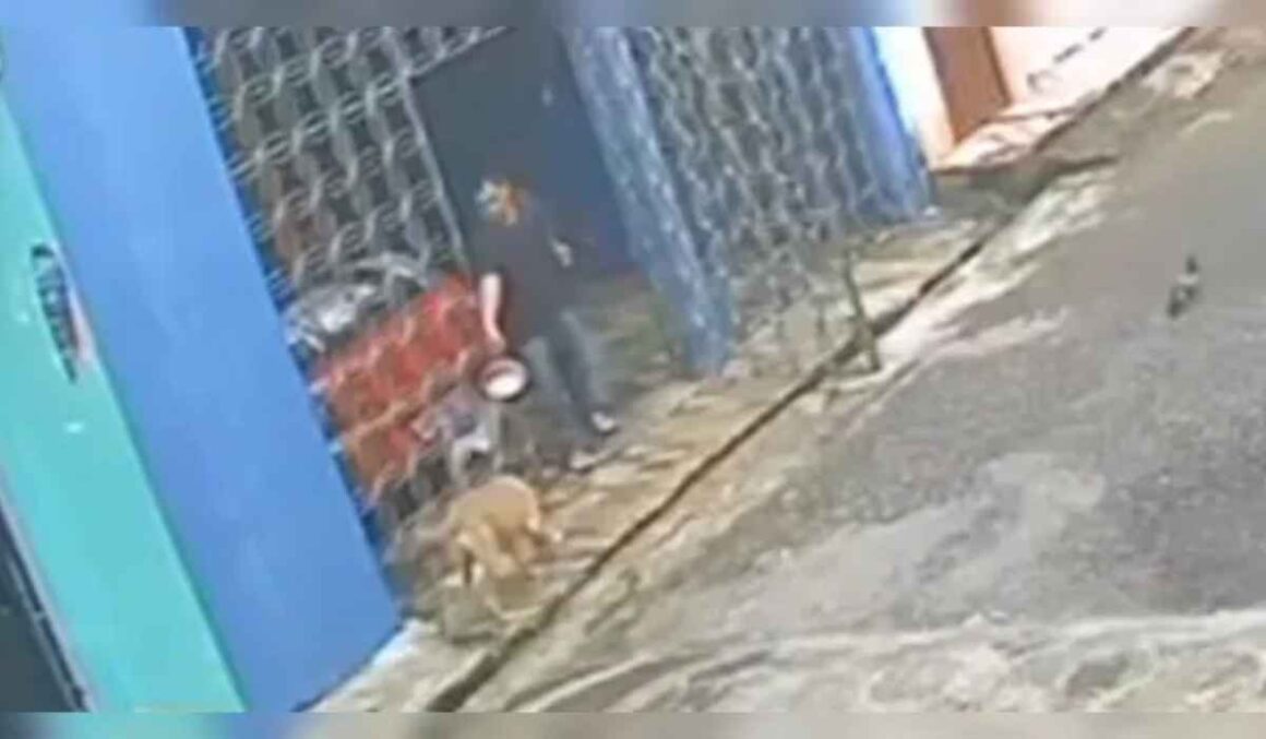REVOLTANTE! Homem ataca cachorro com água fervente no bairro do Curió Utinga, em Belém