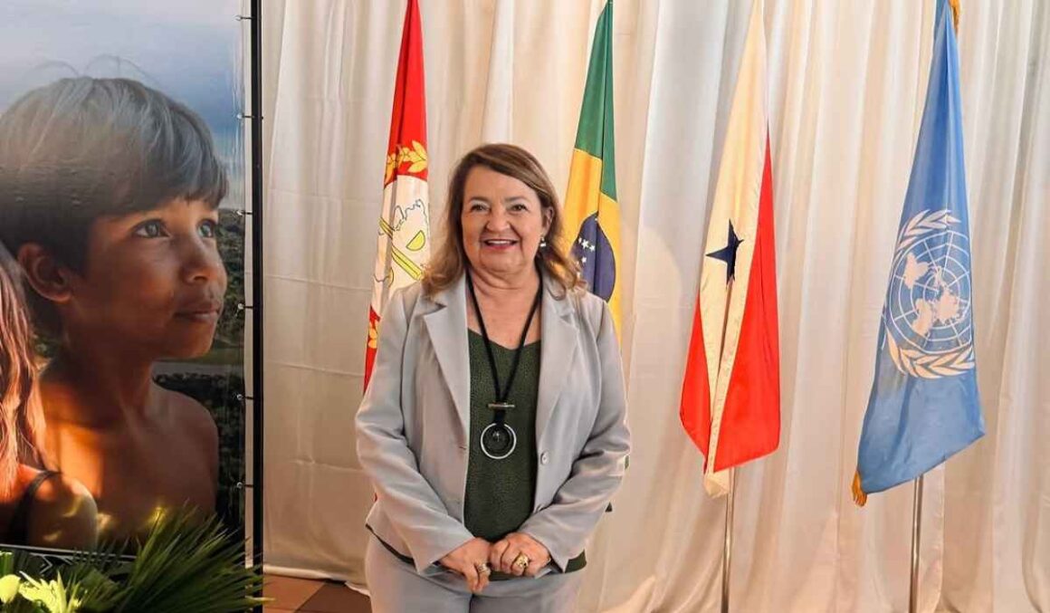 "Um marco em nossa jornada pela sustentabilidade e justiça climática", destacou Maria do Carmo em conferência da ONU