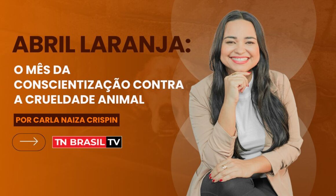 Abril Laranja: o mês da conscientização contra a crueldade animal