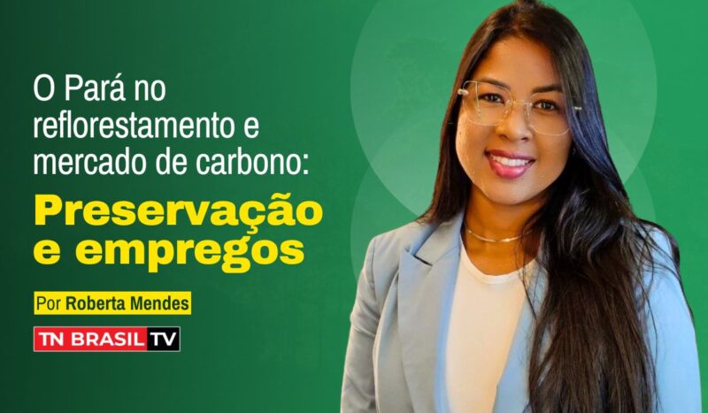 O Pará no reflorestamento e mercado de carbono: preservação e empregos