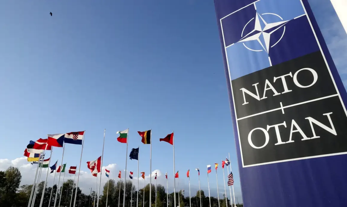 OTAN: Origem, Motivos de sua Criação e Principais Conflitos