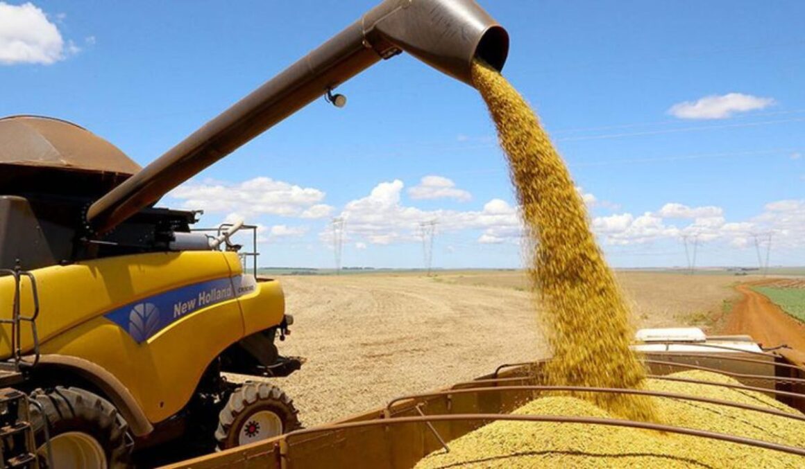 PIB cresce 1,4% nos primeiros três meses do ano puxado pela agropecuária