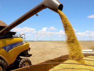PIB cresce 1,4% nos primeiros três meses do ano puxado pela agropecuária