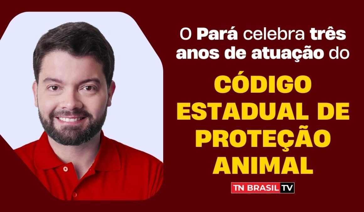 O Pará celebra três anos de atuação do Código Estadual de Proteção Animal