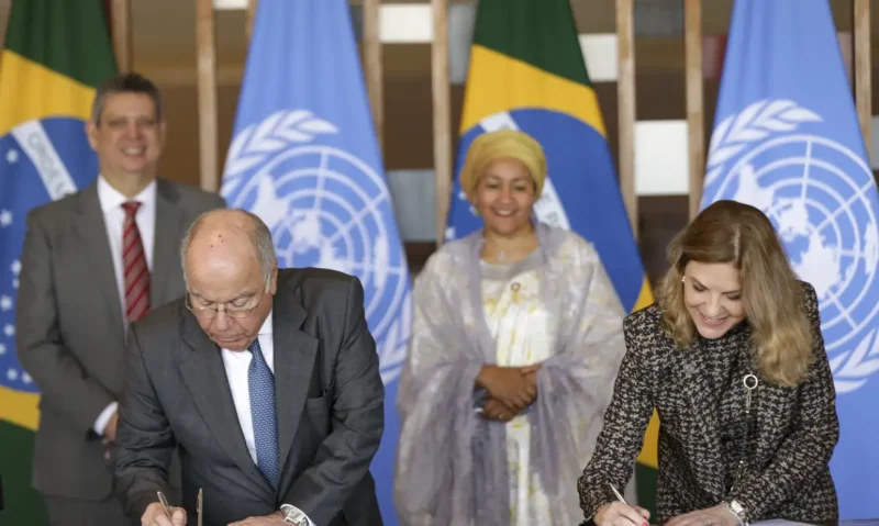 ONU: Origem, Motivos de sua Criação e Relevância