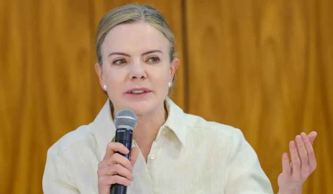 Gleisi critica Bolsonaro no STF: 'Levou uma caixa de mentiras'