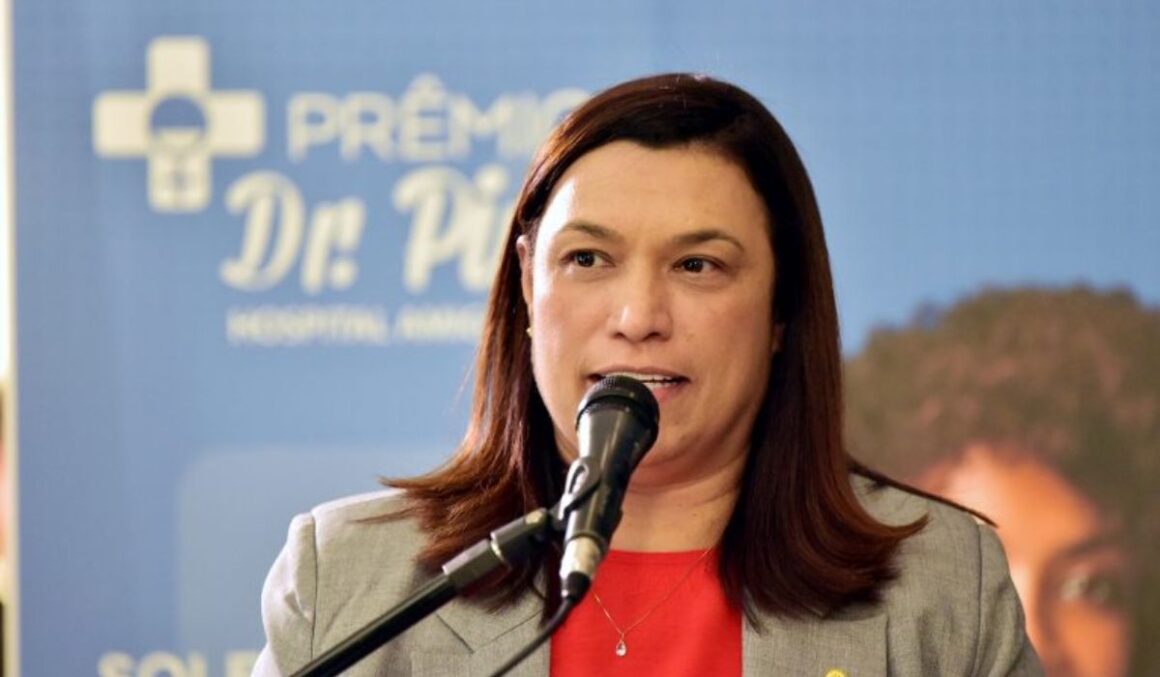 Projeto de Maria Rosas permite que vítimas de violência doméstica acessem histórico criminal de agressores