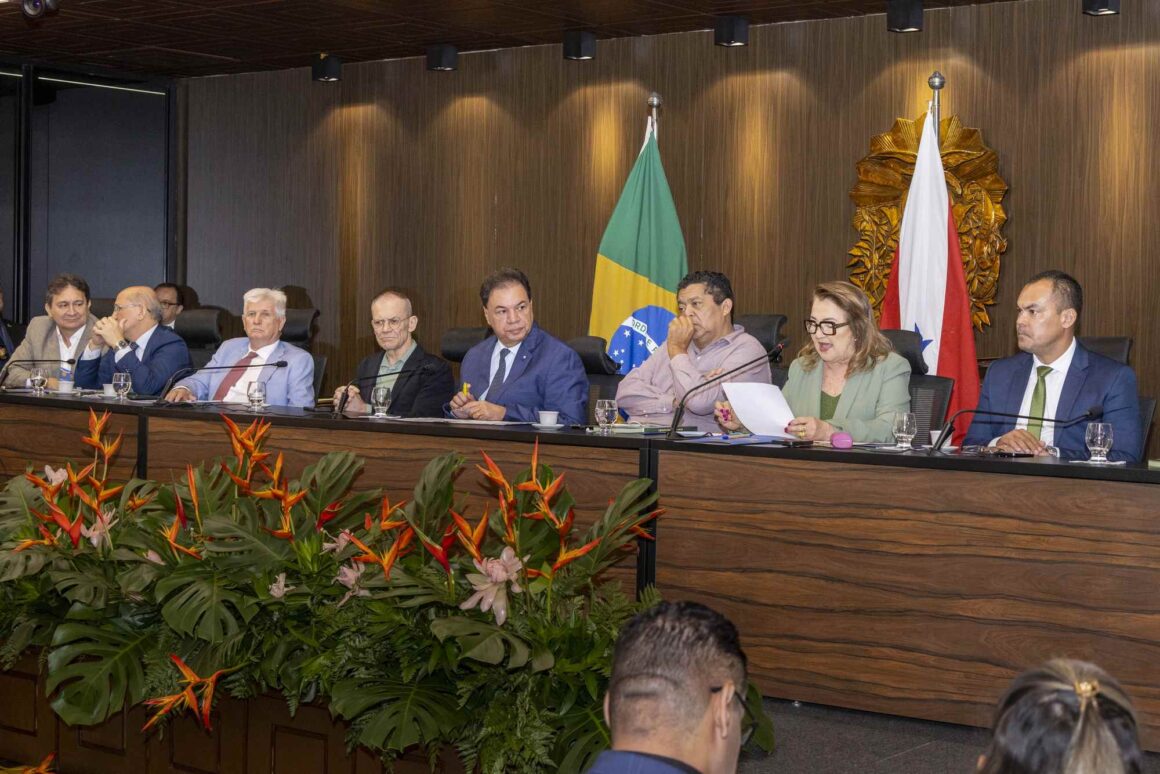 Alepa realiza Encontro Nacional de Presidentes de Comissões de Meio Ambiente dos Legislativos do Brasil