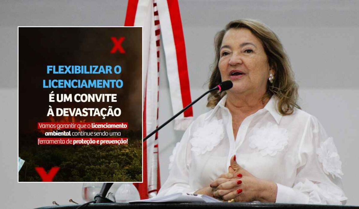 “Não podemos permitir que a destruição do meio ambiente seja legalizada”, defende Maria do Carmo sobre PL 2.159/2021