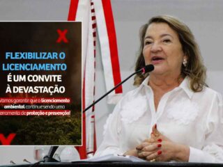 “Não podemos permitir que a destruição do meio ambiente seja legalizada”, defende Maria do Carmo sobre PL 2.159/2021