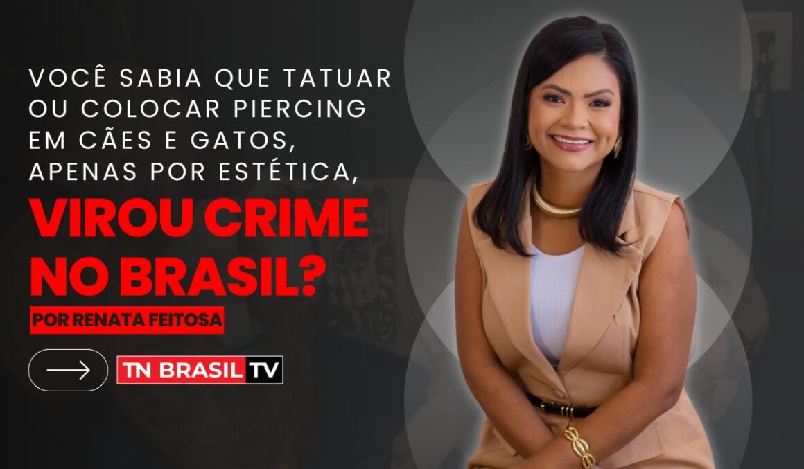 Você sabia que Tatuar ou colocar piercing em cães e gatos, apenas por estética, virou CRIME no Brasil?