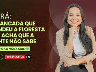 Pará: A bancada que vendeu a floresta — e acha que a gente não sabe