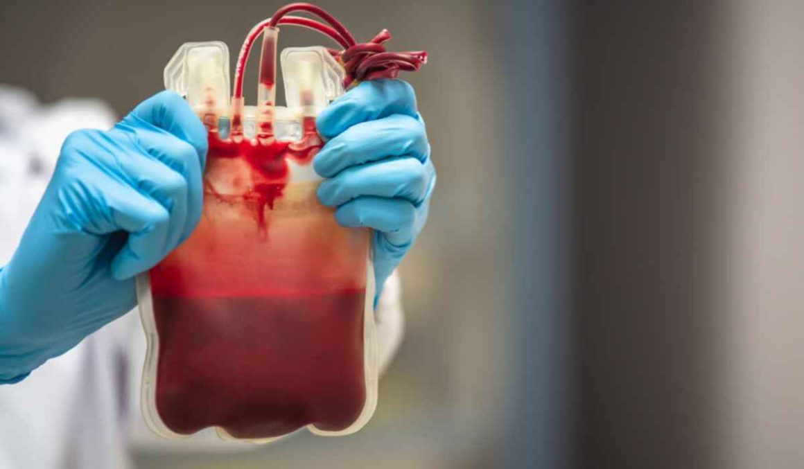 STF confirma direito de recusar transfusão de sangue por motivos religiosos