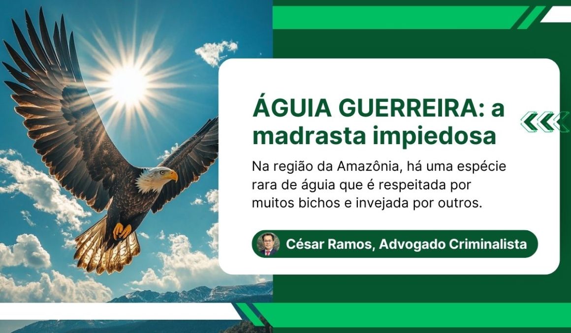 ÁGUIA GUERREIRA: a madrasta impiedosa