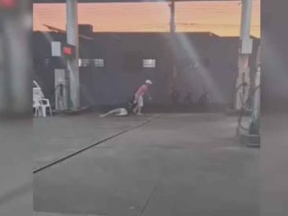 Homem é preso após ser filmado agredindo e arrastando namorada pelos cabelos em posto de combustível
