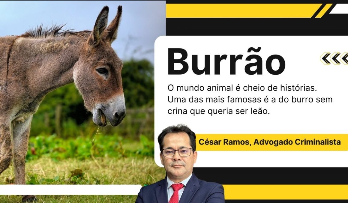 Burrão