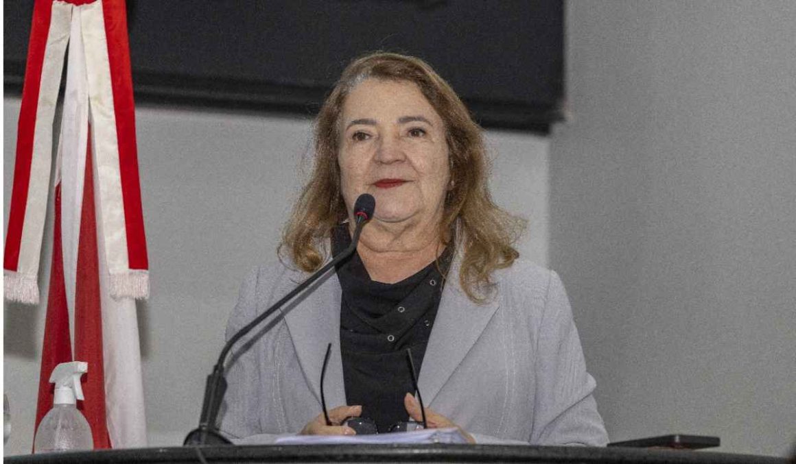 Deputada Maria do Carmo propõe mais direitos para servidoras públicas em licença-maternidade
