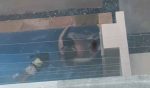 VÍDEO: Casal é filmado fazendo sexo em piscina na presença de criança