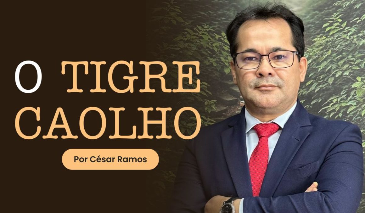 O TIGRE CAOLHO