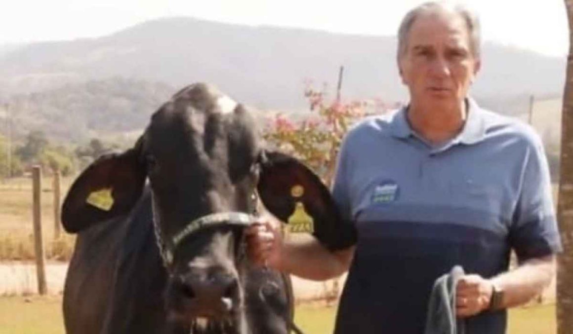 Deputado é condenado por desviar remédios do SUS para gado de sua fazenda