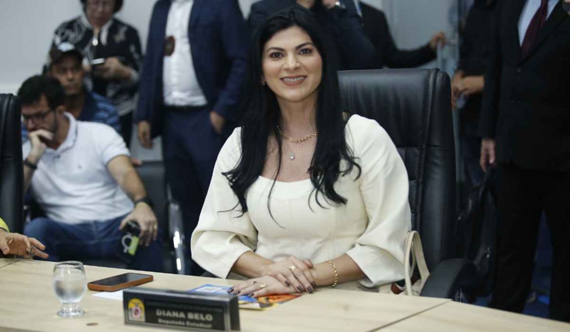 PL da deputada Diana Belo garante reconhecimento da Catedral da Sé como Patrimônio Cultural do Pará PL da deputada Diana Belo garante reconhecimento da Catedral da Sé como Patrimônio Cultural do Pará