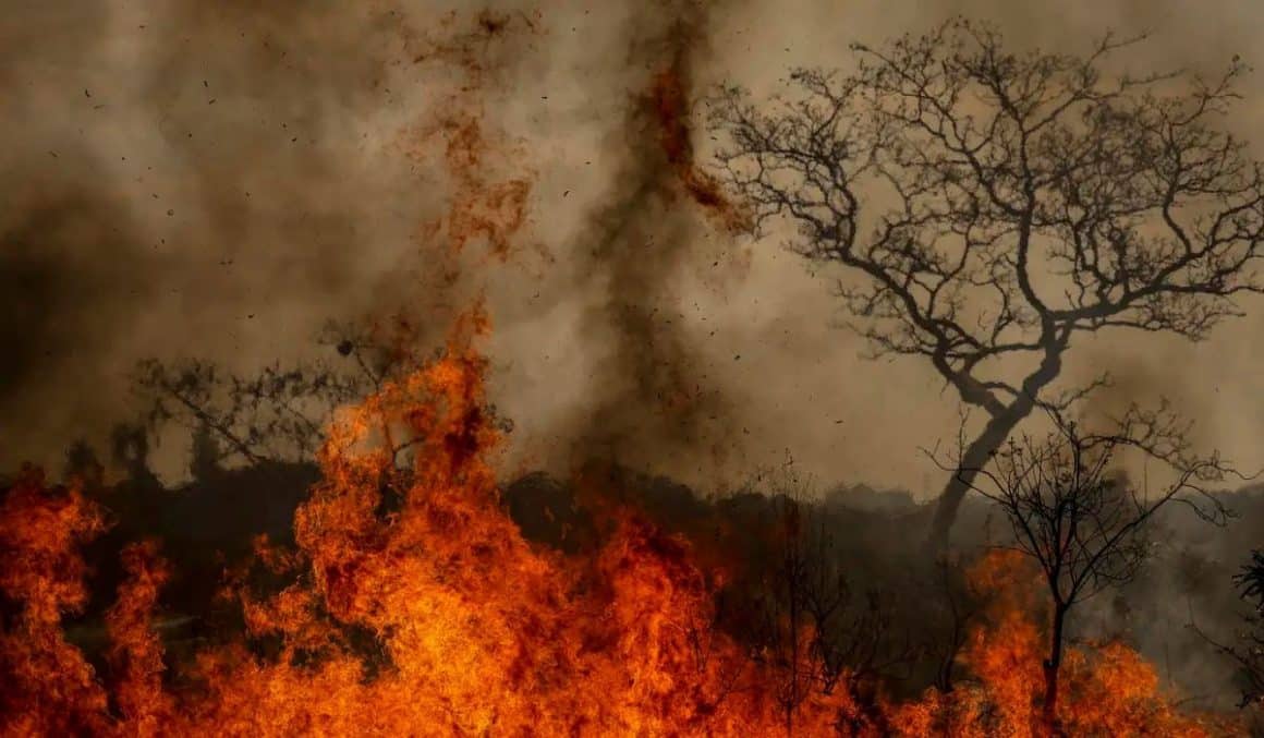 ONU alerta: desastres climáticos já deslocaram 250 milhões de pessoas