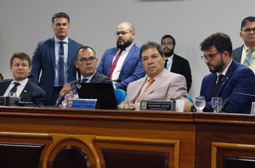 Lu Ogawa (PP): Alepa Itinerante em Breves aproxima parlamento da população marajoara