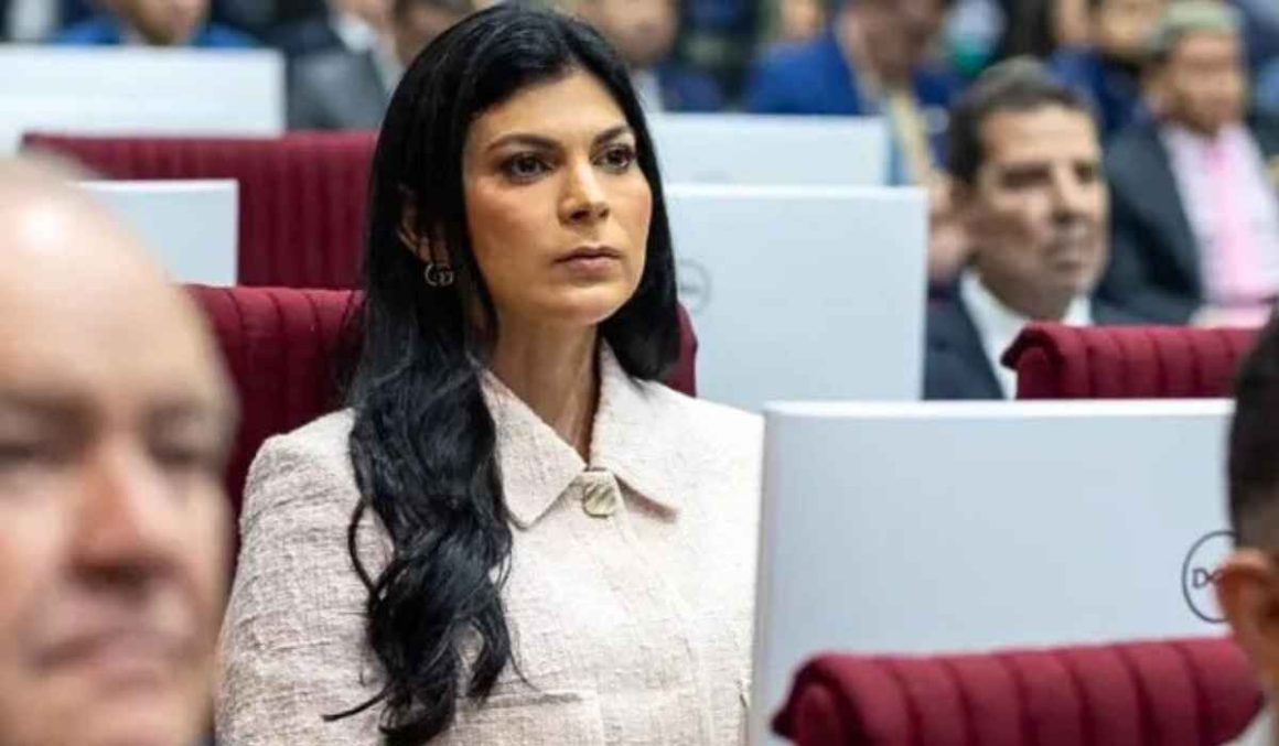 Deputada Diana Belo em 2026: "Avançar é o caminho"