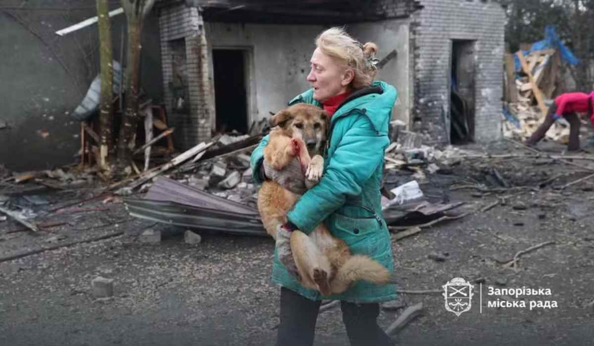 Ataque russo na Ucrânia destrói abrigo e mata ao menos 8 cães